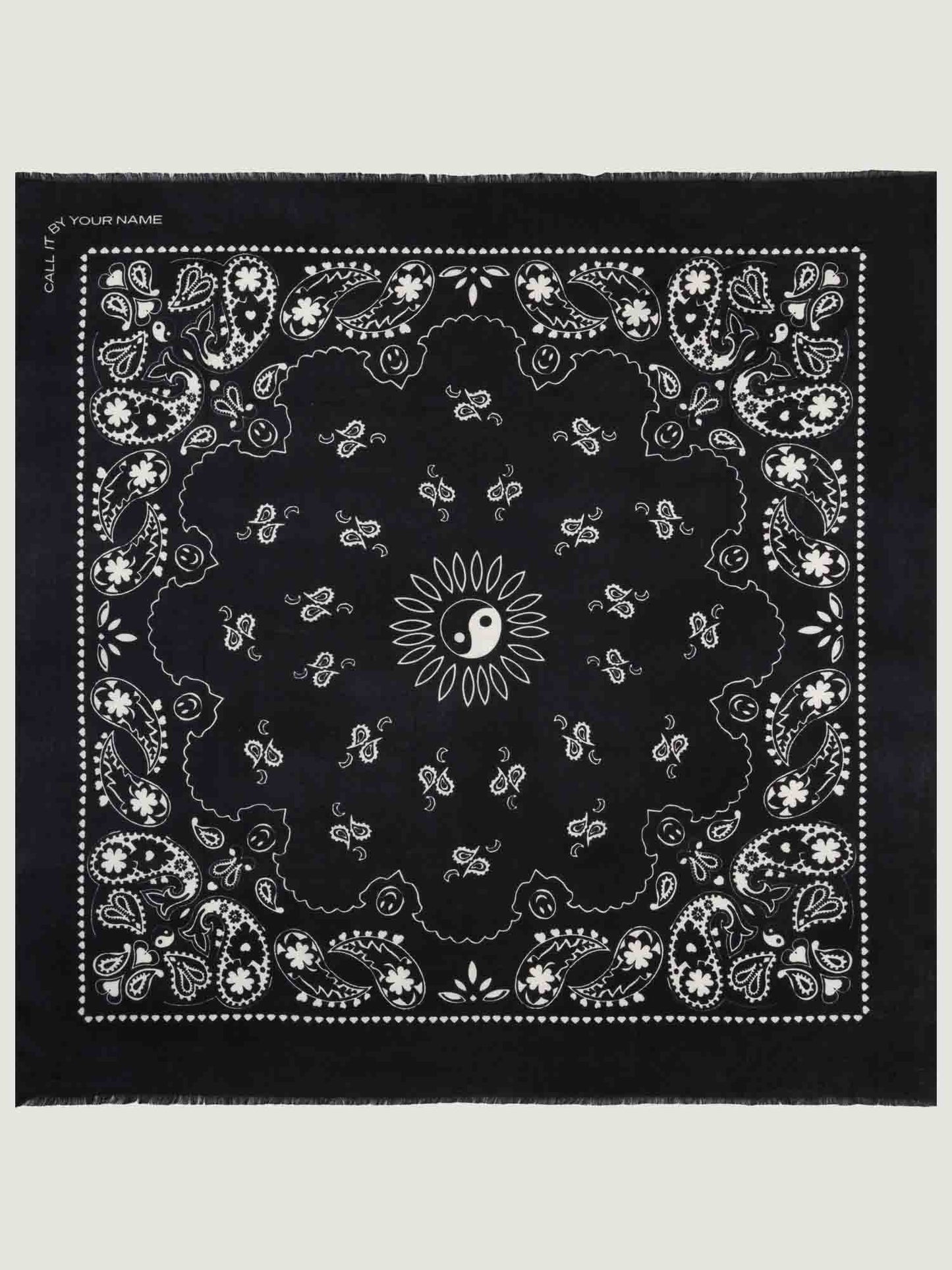 Call It By Your Name Etole - Paisley Scarf