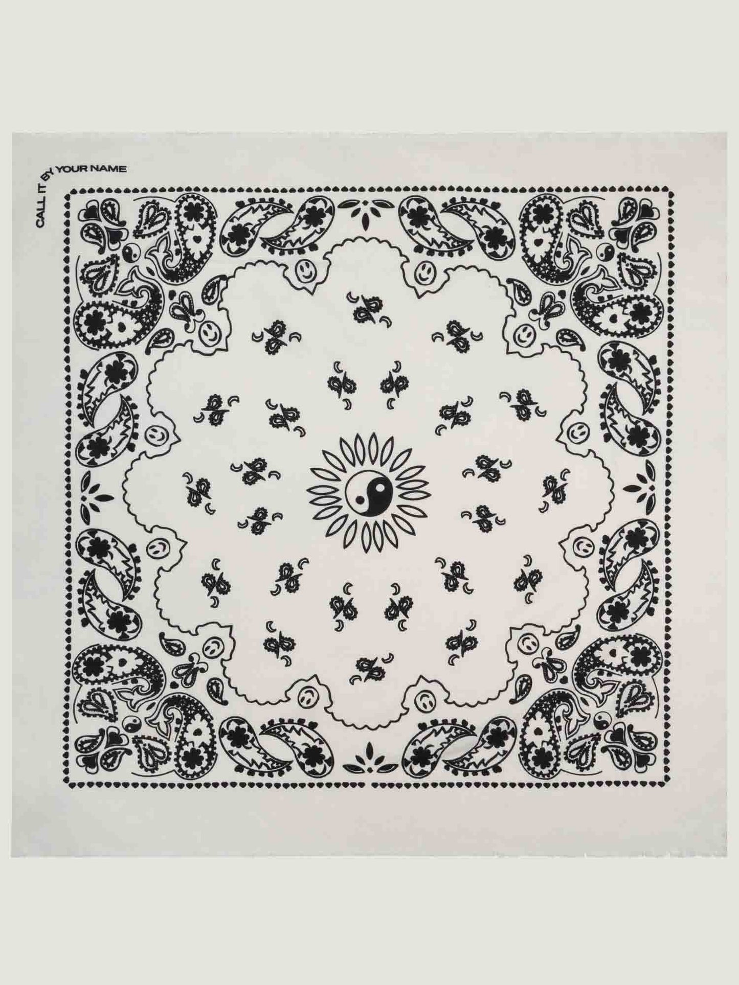 Call It By Your Name Etole - Paisley Scarf