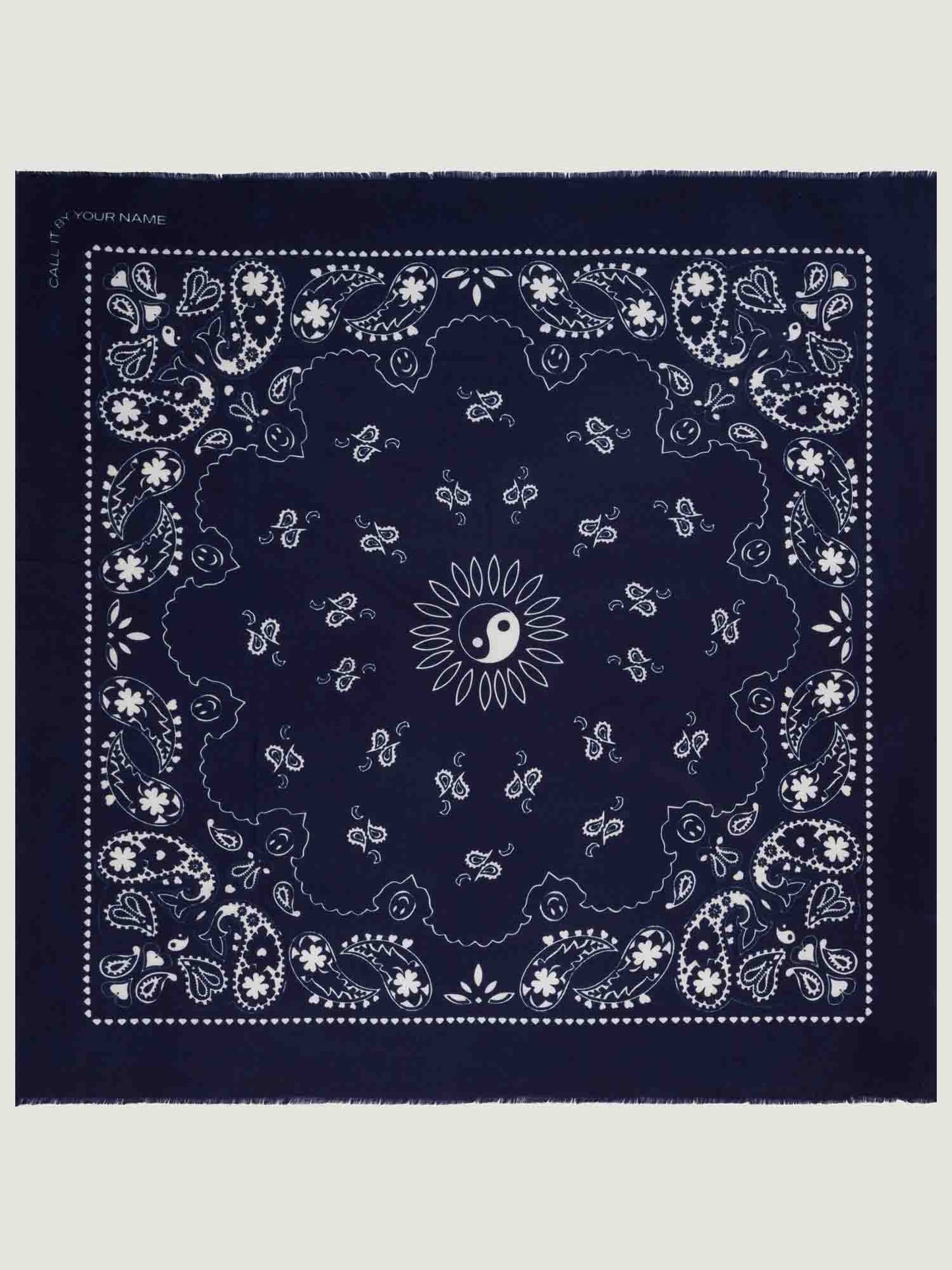 Call It By Your Name Etole - Paisley Scarf