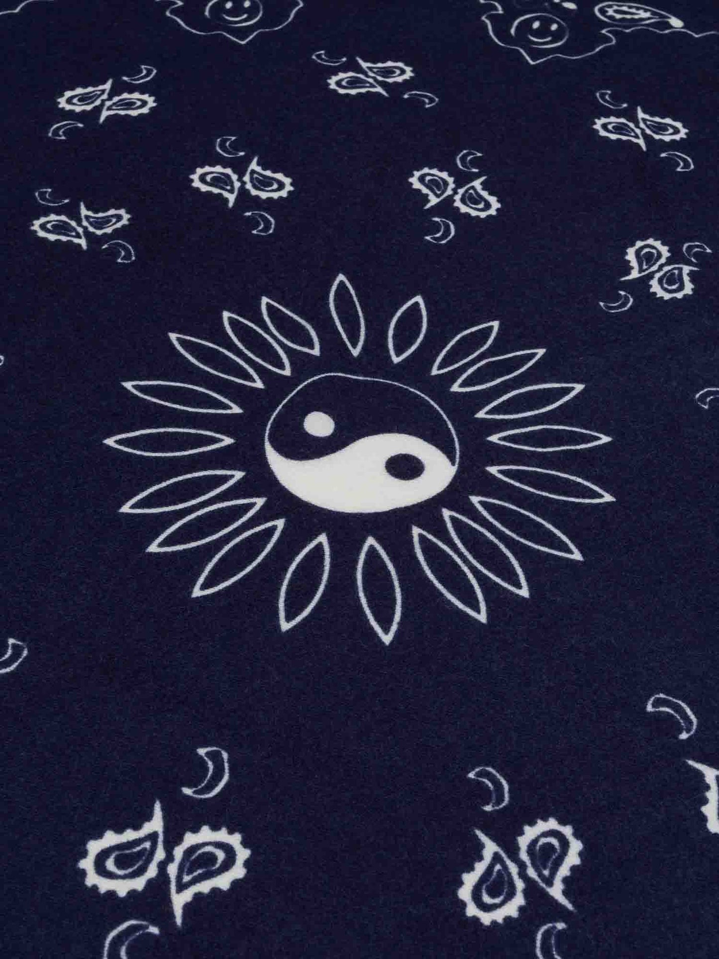 Call It By Your Name Etole - Paisley Scarf