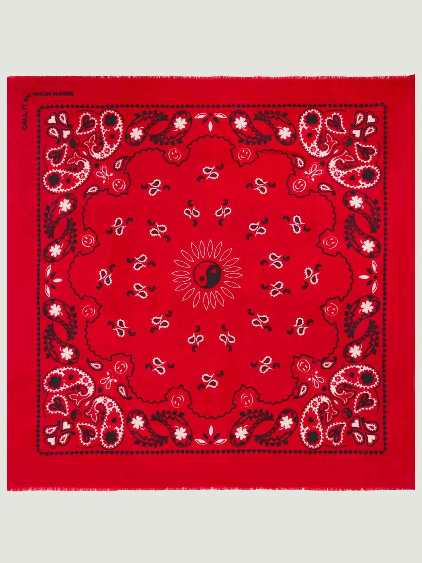 Call It By Your Name Etole - Paisley Scarf