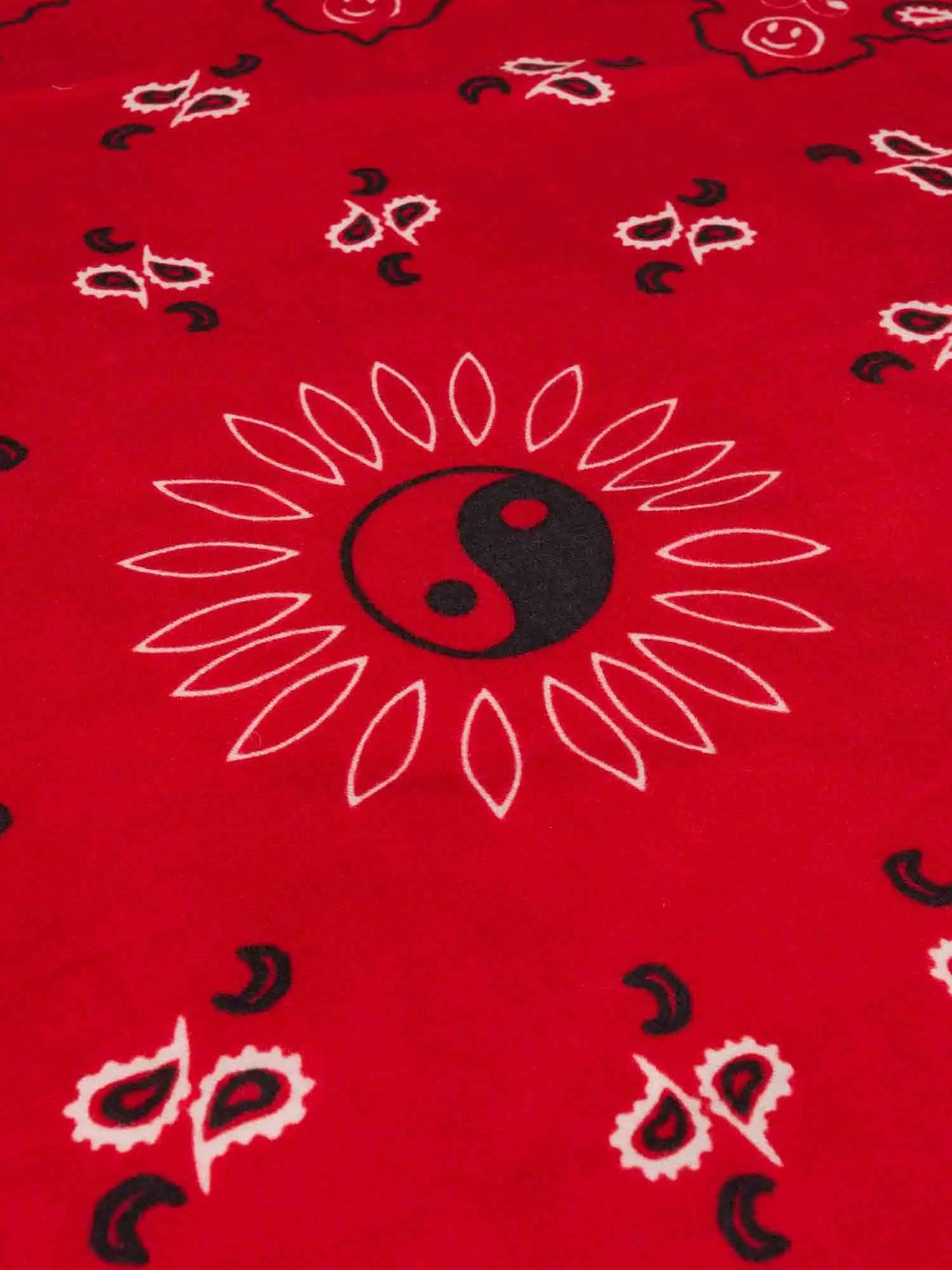 Call It By Your Name Wool&Silk Blend Stole - Paisley Scarf