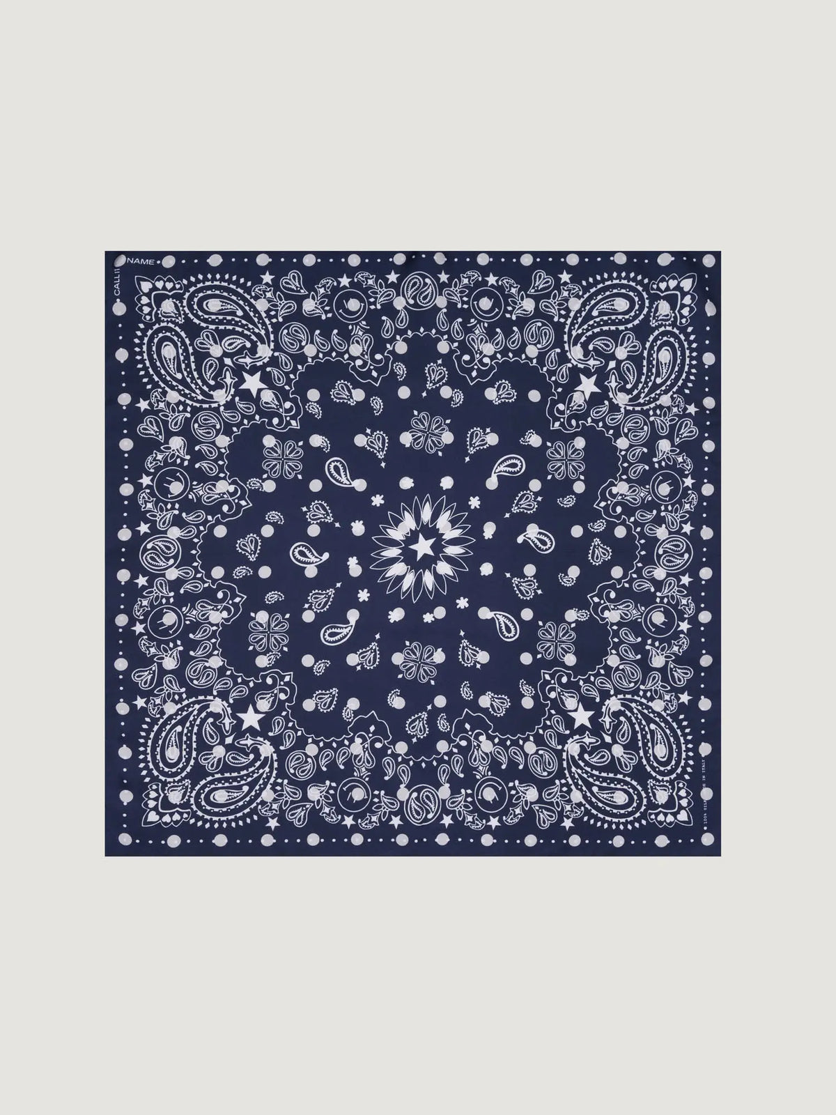 Call It By Your Name Silk Bandana - POLKA DOTS - Small