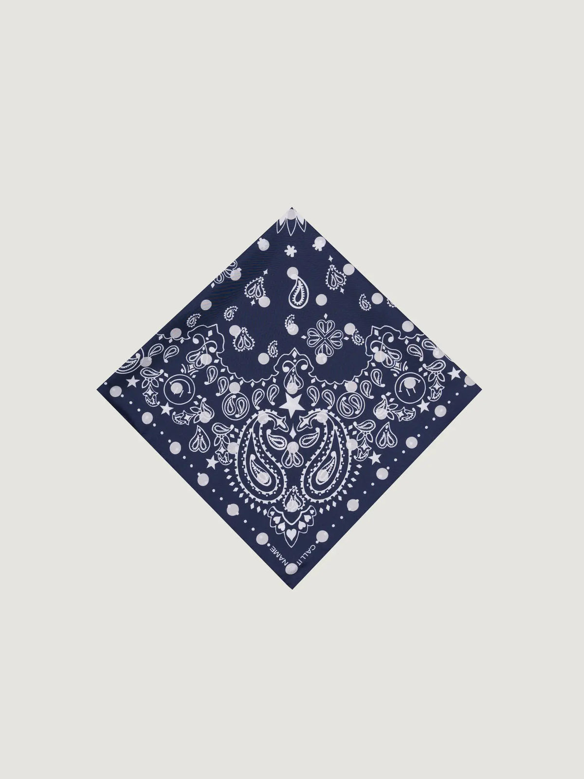 Call It By Your Name Silk Bandana - POLKA DOTS - Small