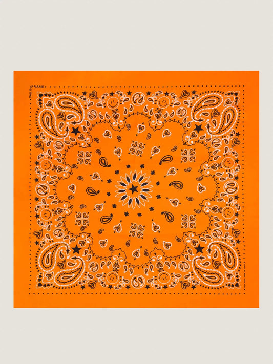 Call It By Your Name Silk Bandana - STAR - Large