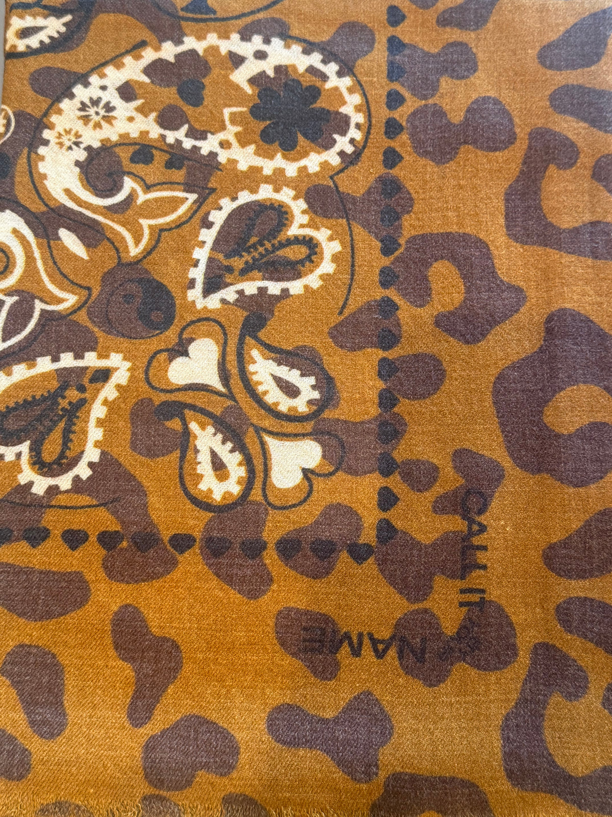 Call It By Your Name Wool&Silk Blend Paisley Stole