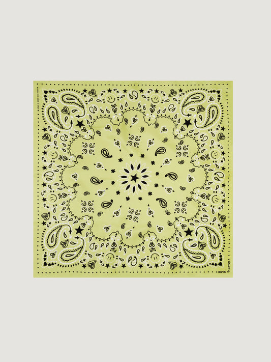 Call It By Your Name Silk Bandana - STAR - Small
