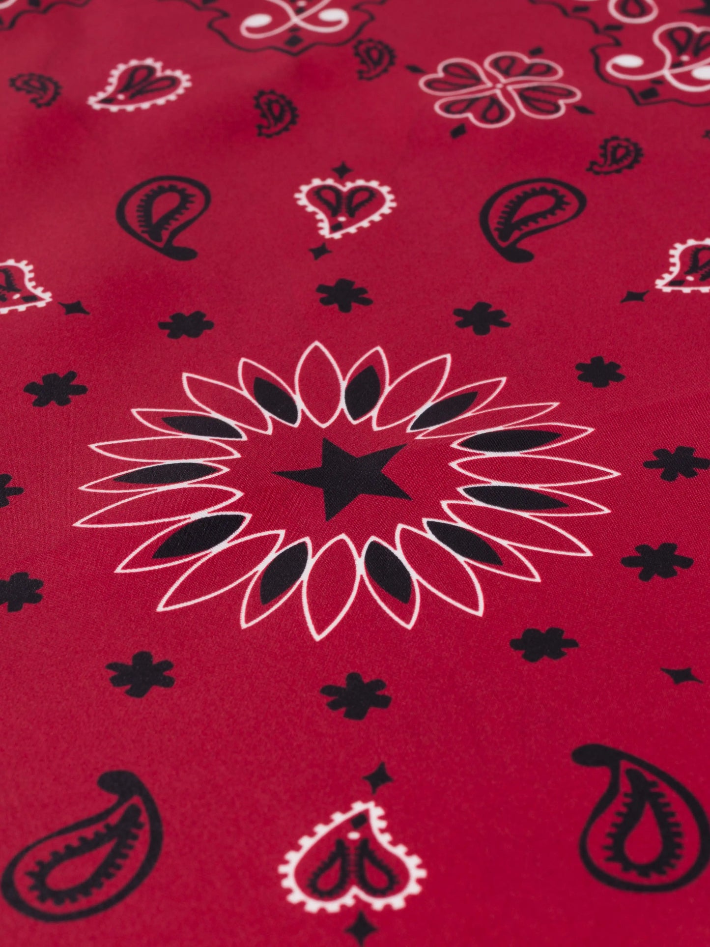 Call It By Your Name Silk Bandana - STAR - Small