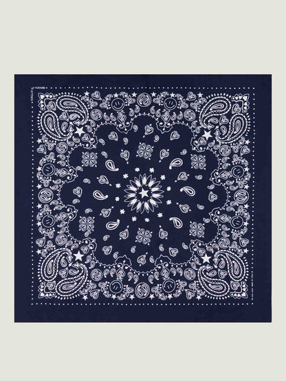 Call It By Your Name Silk Bandana - STAR - Large