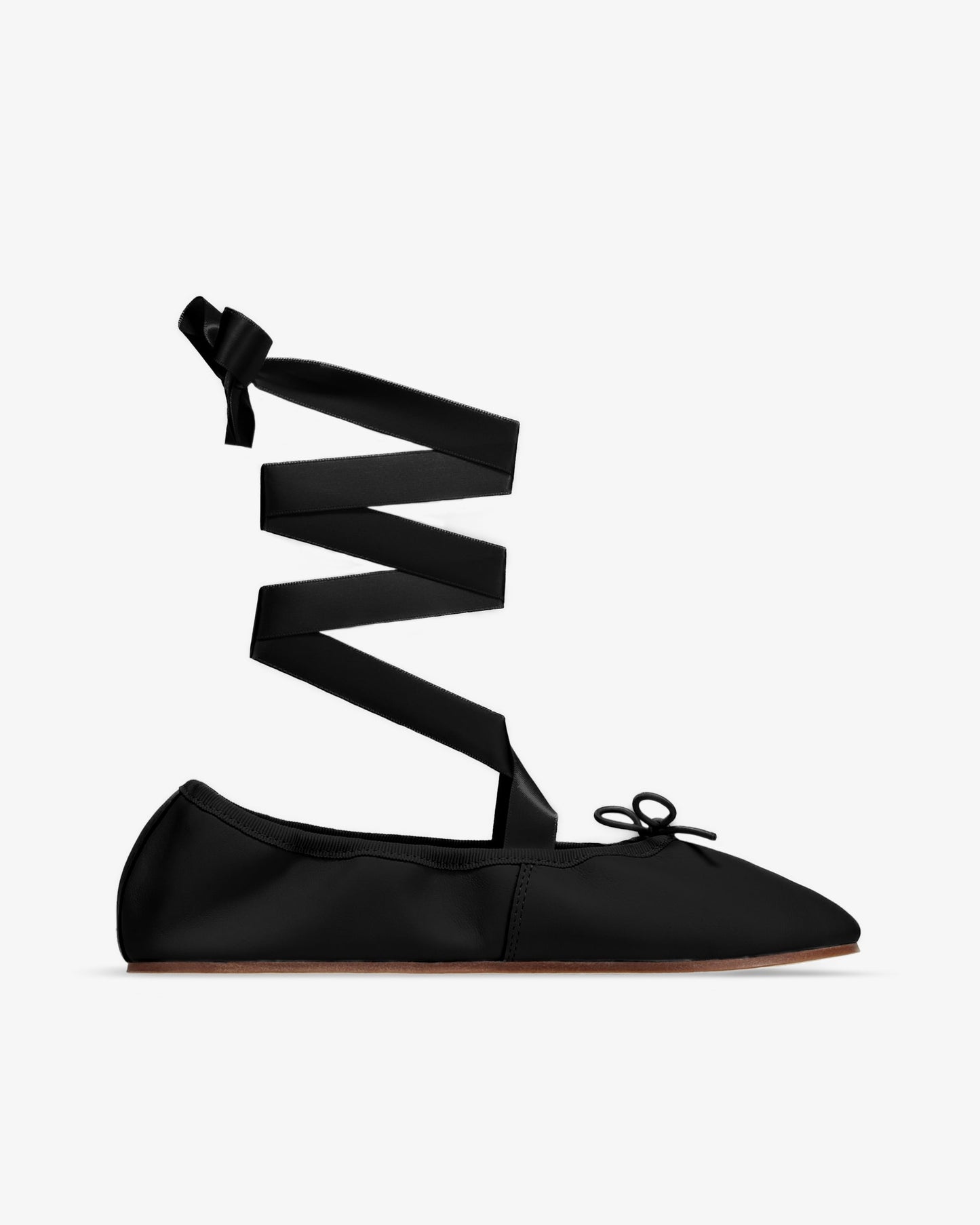 Repetto Sophia Ballet Flats